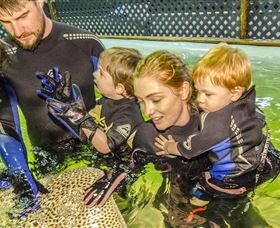 Birubi Point NSW Accommodation Mermaid Beach