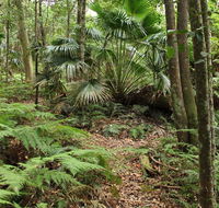 Durras Lake Discovery trail - Accommodation Mermaid Beach