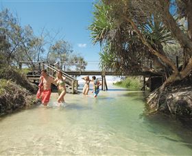 Eli Creek - Accommodation Mermaid Beach 1