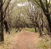 Pretty Beach to Snapper Point walking track - Accommodation Mermaid Beach
