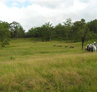 Numinbah Valley Adventure Trails - Accommodation Mermaid Beach