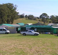Tinonee Orchid Nursery - Accommodation Mermaid Beach