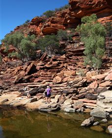 Inland Gorges - Accommodation Mermaid Beach 2