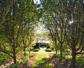 All Saints Garden - Accommodation Mermaid Beach 4