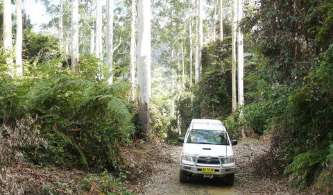 Bindarri National Park - Accommodation Mermaid Beach 2