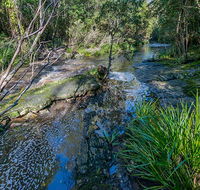 Dawson River walking track - Accommodation Mermaid Beach