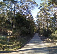 Box Cutting Rainforest Walk - Accommodation Mermaid Beach