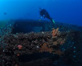 Cementco Dive Site - Accommodation Mermaid Beach 3