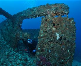 Cementco Dive Site - Accommodation Mermaid Beach 2