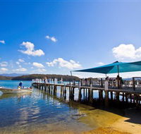 Kayaking Wagonga Inlet Narooma - Accommodation Mermaid Beach