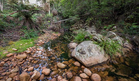 Biamanga National Park - Accommodation Mermaid Beach 2