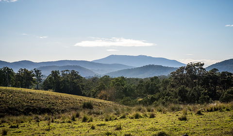 Biamanga National Park - Accommodation Mermaid Beach 3