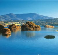 Wagonga Picnic Area - Accommodation Mermaid Beach