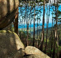 Mount Gulaga Mount Dromedary Walk - Accommodation Mermaid Beach