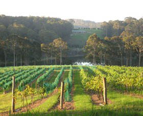 Bellbird Scenic Drive Tilba - Accommodation Mermaid Beach 3