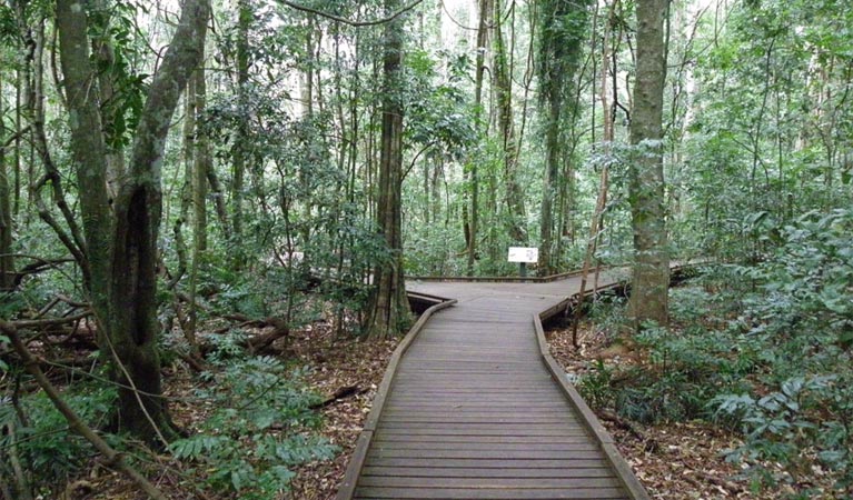 Dalwood NSW Accommodation Mermaid Beach