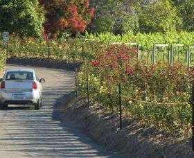 Cassegrain Wines - Accommodation Mermaid Beach 0