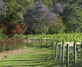 Cassegrain Wines - Accommodation Mermaid Beach 1