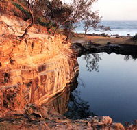Angourie Blue Pool - Accommodation Mermaid Beach