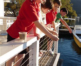 Dunbogan Boatshed - Accommodation Mermaid Beach 3