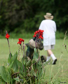 Teven Valley Golf Course - Accommodation Mermaid Beach 3