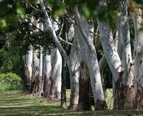 Teven Valley Golf Course - Accommodation Mermaid Beach 1