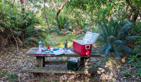 Broadwater Beach Picnic Area - Accommodation Mermaid Beach 0