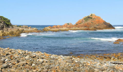 Mimosa Rocks Walking Track - Accommodation Mermaid Beach 3