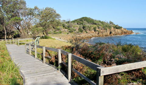 Mimosa Rocks Walking Track - Accommodation Mermaid Beach 0