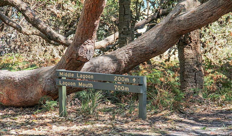 Rocky Hall NSW Accommodation Mermaid Beach