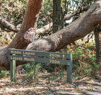 Middle Lagoon walking track - Accommodation Mermaid Beach