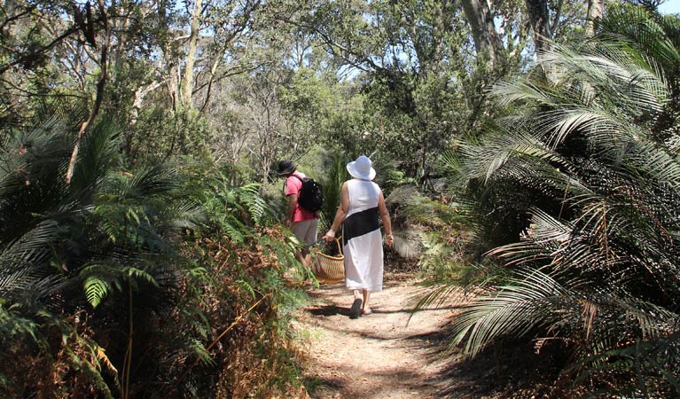 Mogareeka NSW Accommodation Mermaid Beach