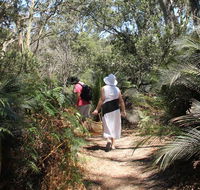 Nelson Lagoon - Accommodation Mermaid Beach