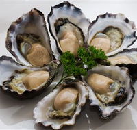 Tathra Oysters - Accommodation Mermaid Beach