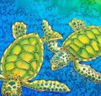 Sea Silks Gallery - Accommodation Mermaid Beach