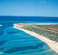 Monkey Mia - Accommodation Mermaid Beach