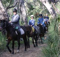 Mirravale Horse Riding School - Accommodation Mermaid Beach
