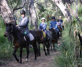 Mirravale Horse Riding School - Accommodation Mermaid Beach 0