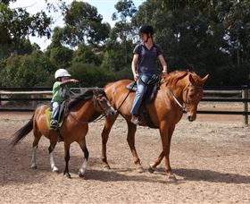 Mirravale Horse Riding School - Accommodation Mermaid Beach 1