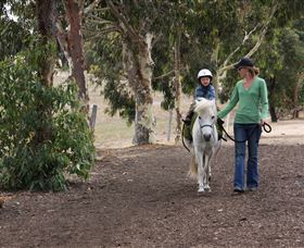 Mirravale Horse Riding School - Accommodation Mermaid Beach 2