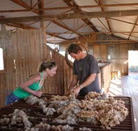 Peron Homestead - Accommodation Mermaid Beach