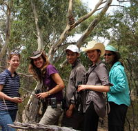 Echidna Walkabout Nature Tours - Accommodation Mermaid Beach