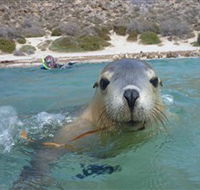 Calypso Star Charters - Accommodation Mermaid Beach