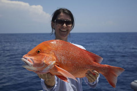 Absolute Ocean Charters - Accommodation Mermaid Beach 3