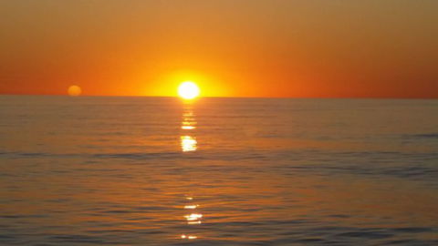 Absolute Ocean Charters - Accommodation Mermaid Beach 16
