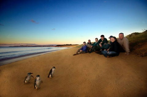 Melbourne Coastal Touring - Accommodation Mermaid Beach 2