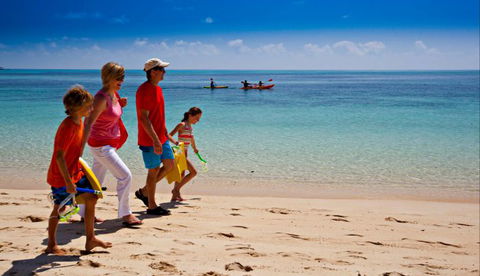 Big Cat Green Island Reef Cruises - Accommodation Mermaid Beach 4
