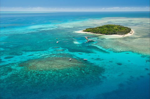 Big Cat Green Island Reef Cruises - Accommodation Mermaid Beach 6
