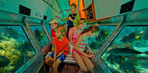 Big Cat Green Island Reef Cruises - Accommodation Mermaid Beach 11