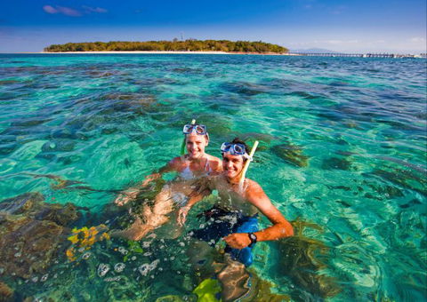 Big Cat Green Island Reef Cruises - Accommodation Mermaid Beach 12